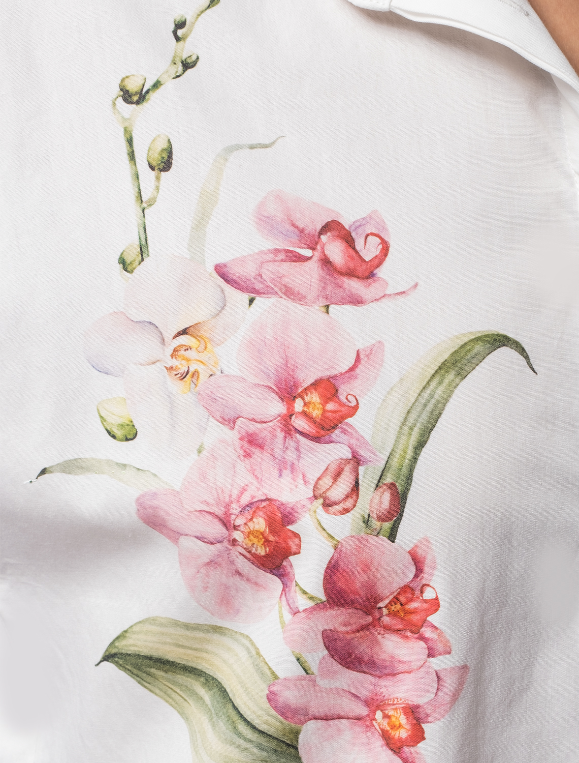 картинка Блузка женская белый_орхидея от магазина Одежда+